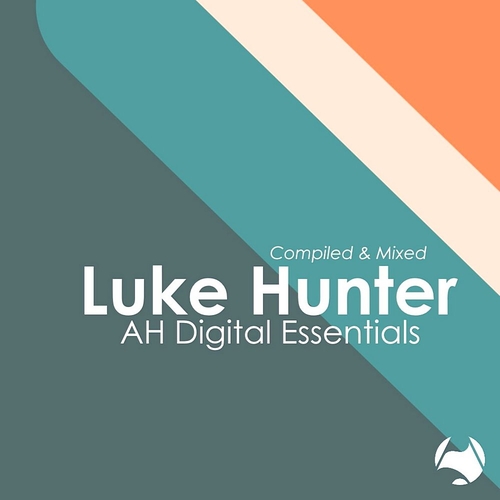 VA - AH Digital Essentials 002  Luke Hunter [AHDE002COMP]